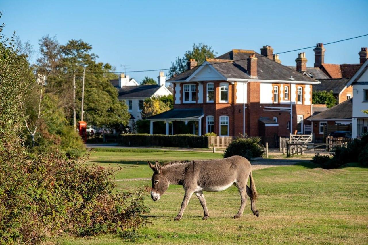 Surrey Lodge ブロッケンハースト エクステリア 写真
