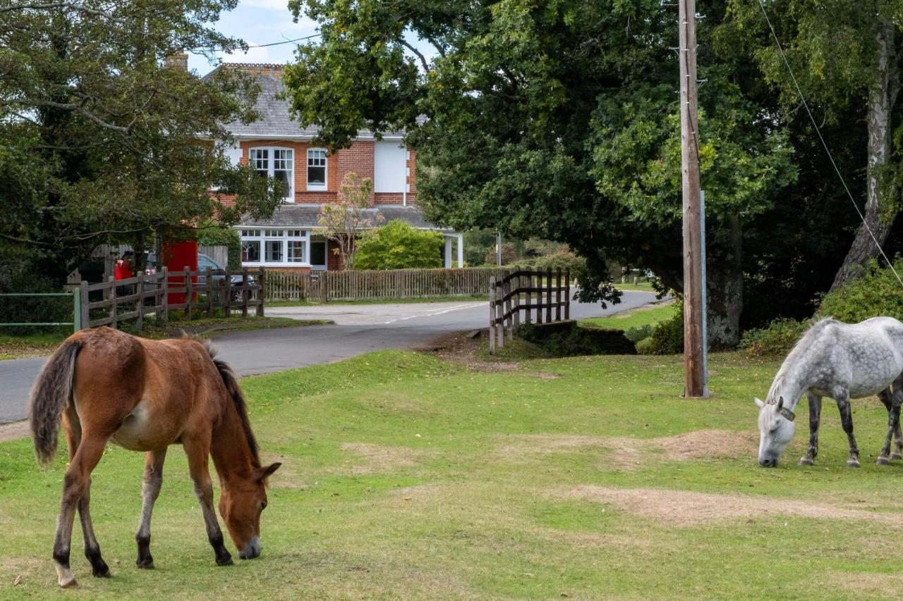 Surrey Lodge ブロッケンハースト エクステリア 写真